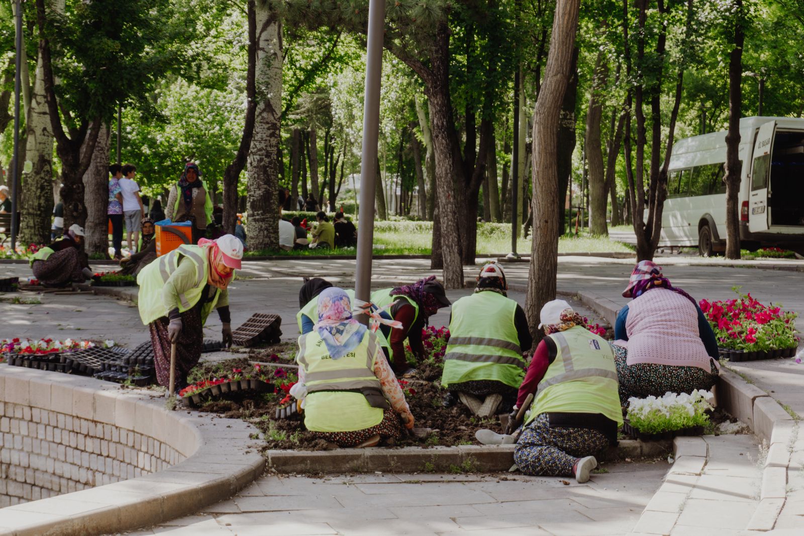 Oameni plantând împreună într-o grădină comunitară
